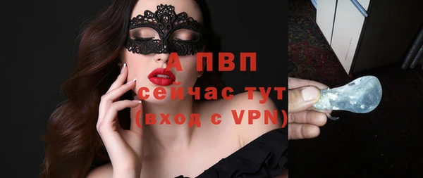 стаф Бронницы
