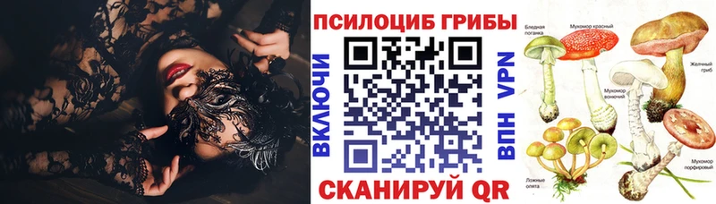 гидра онион  закладки  маркетплейс наркотические препараты  Псилоцибиновые грибы мухоморы  Астрахань 