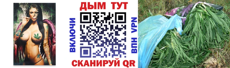 Бошки марихуана сатива  Астрахань 